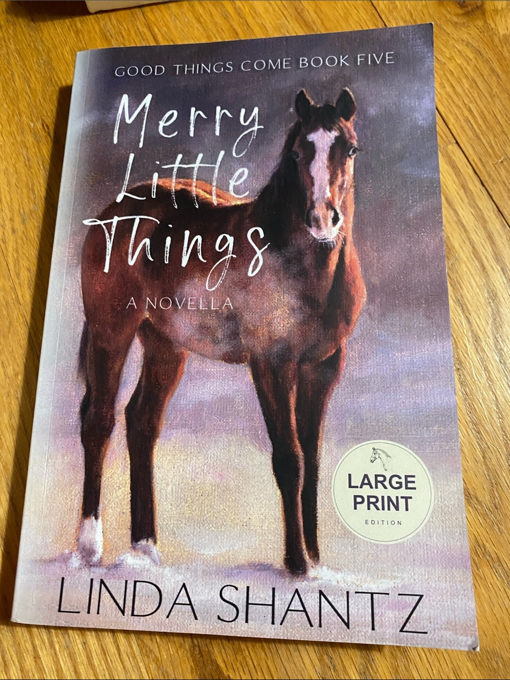 Merry Little Things Novella - Brown Cover, Large Print book 5